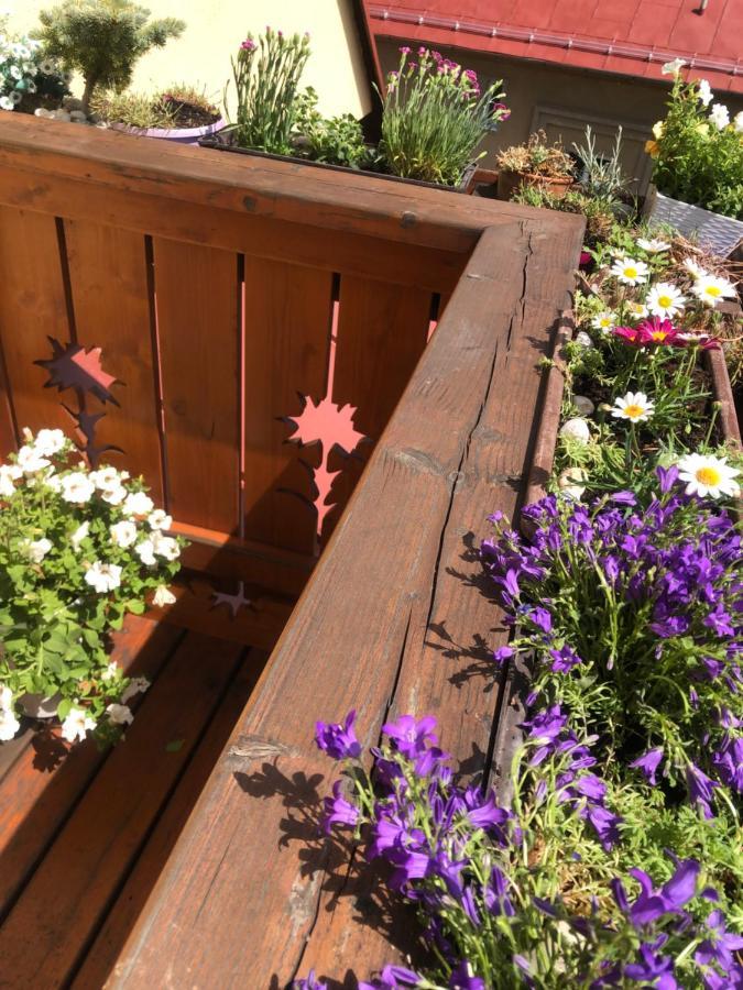 Apartman Relax Vysoké Tatry Dış mekan fotoğraf